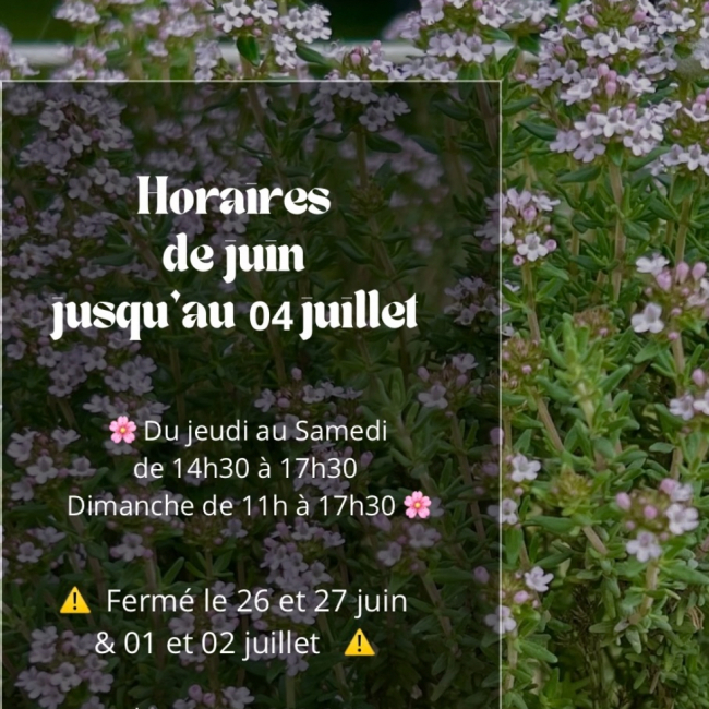 Horaires